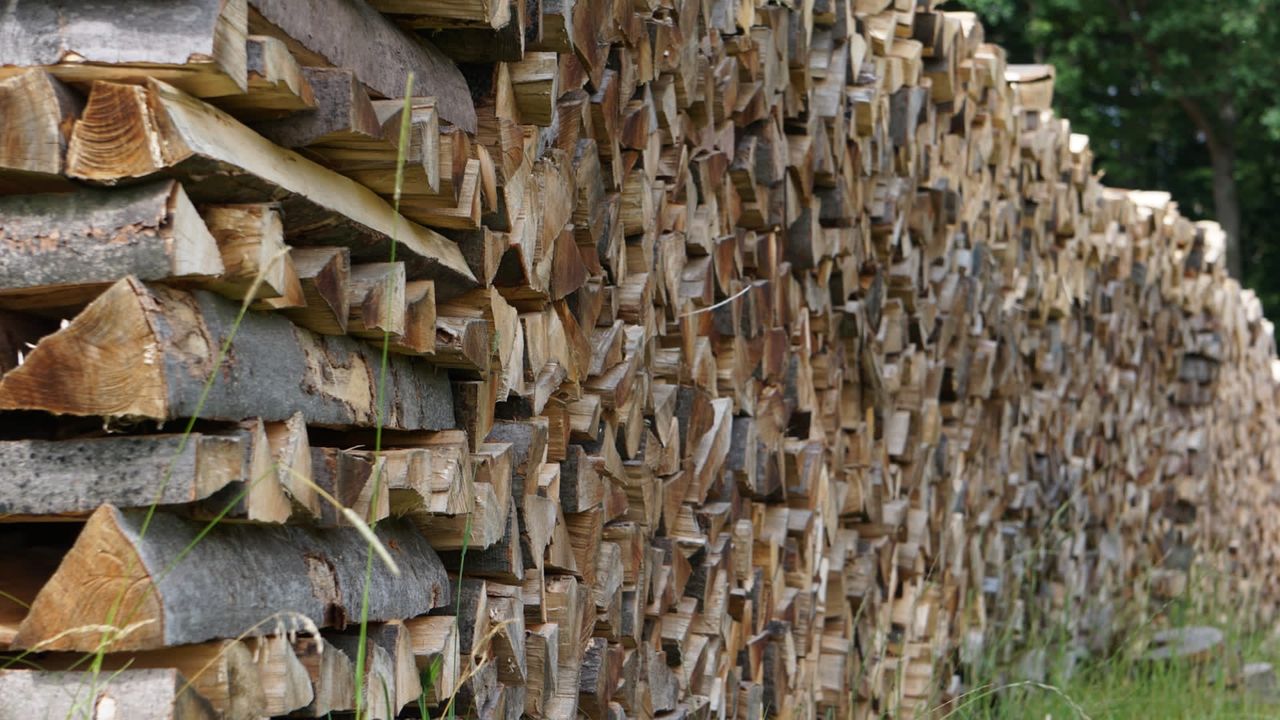 Sauber aufgeschichtete Brennholzscheite in einer langen Holzmiete am Waldrand