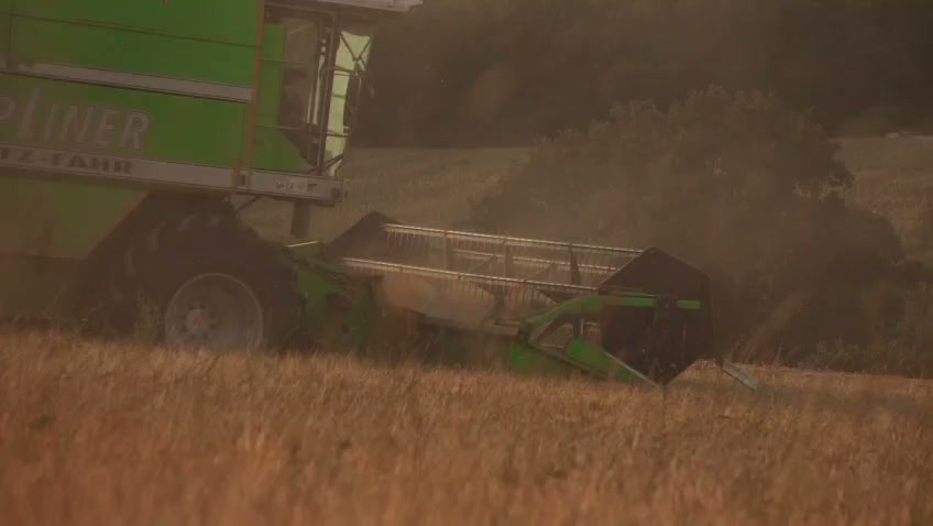 Deutz-Fahr Mähdrescher mit Schneidwerk im Getreidebestand bei der Abendernte