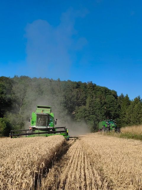 Mähdrescher und Traktor am Feldrand während der Getreideernte